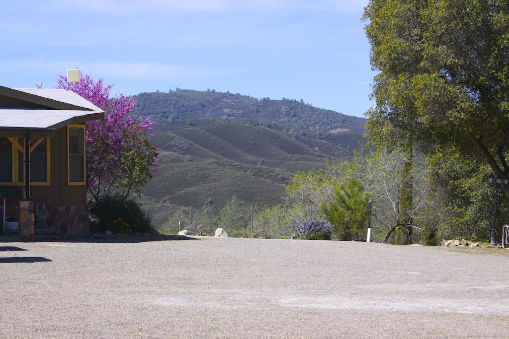 Yosemite Gold Country Lodge Coulterville Εξωτερικό φωτογραφία