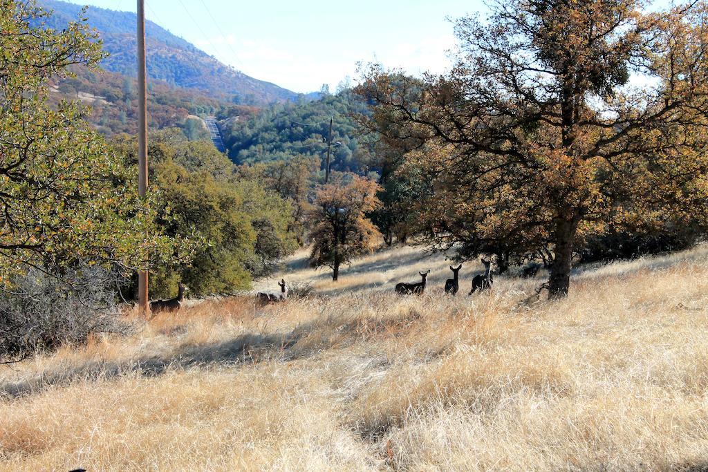 Yosemite Gold Country Lodge Coulterville Εξωτερικό φωτογραφία